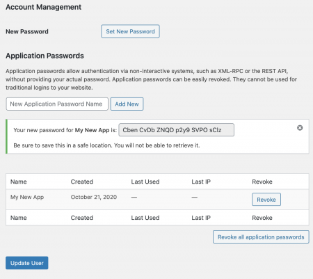 Интерфейс создания Application Password